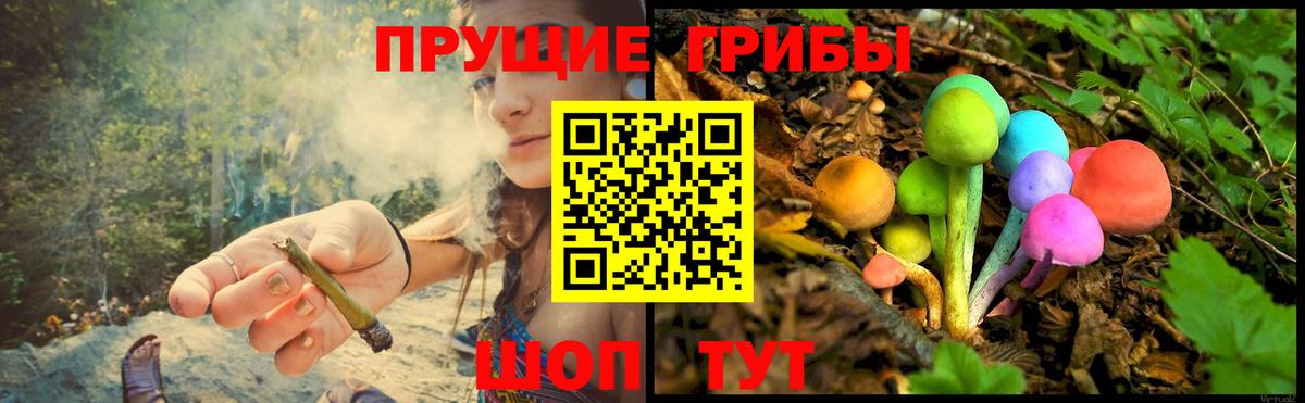 Новочеркасск  купить   Вход с VPN  Галлюциногенные грибы Magic Shrooms 